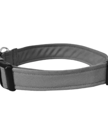 Collar para Perro Click Gris