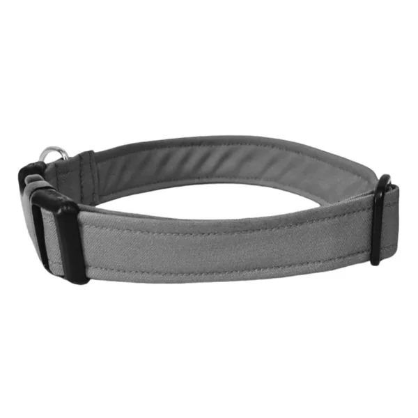 Collar para Perro Click Gris