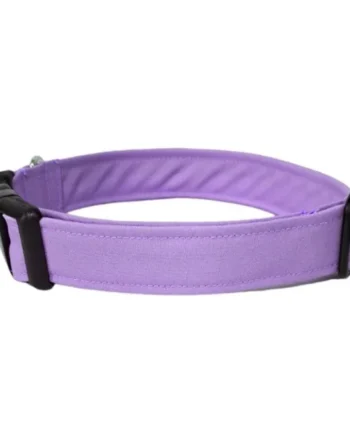 Collar para Perro Click Lila