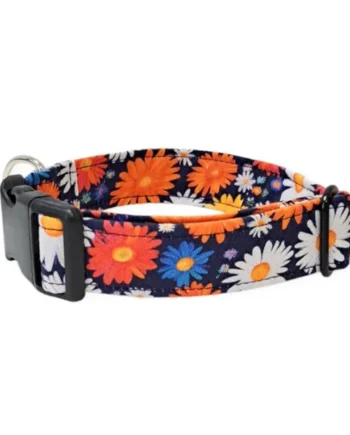 Collar para Perro Click Margaritas