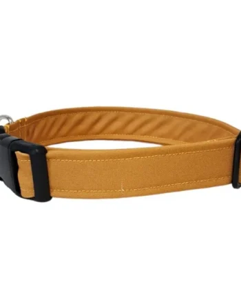Collar para Perro Click Mostaza