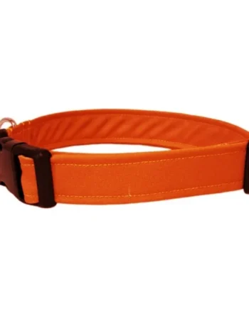 Collar para Perro Click Naranja