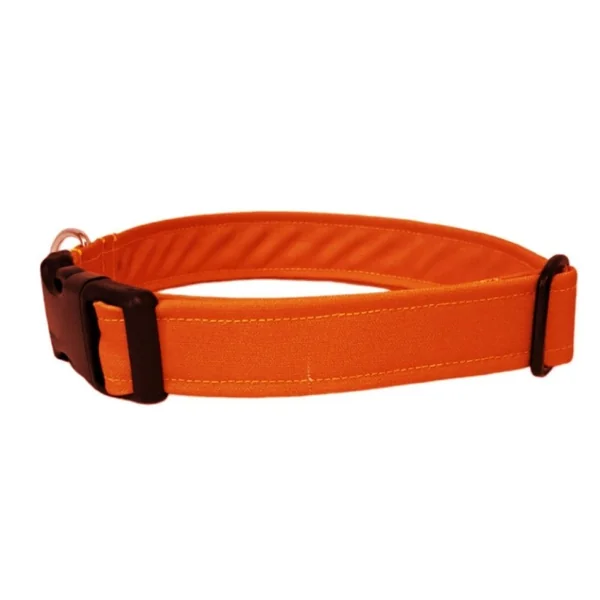 Collar para Perro Click Naranja