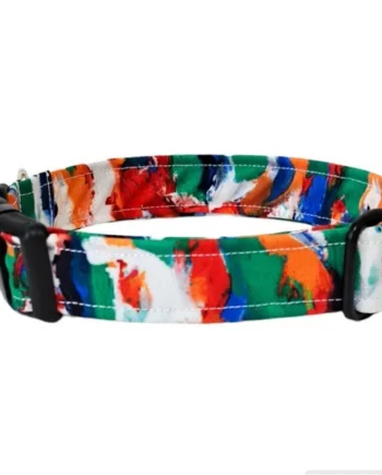 Collar para Perro Click Pintura Abstracta