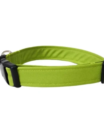 Collar para Perro Click Pistacho