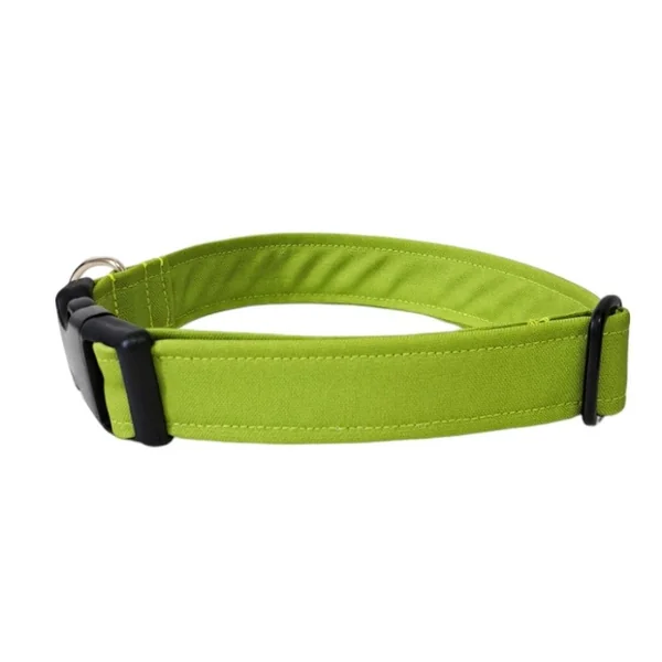 Collar para Perro Click Pistacho
