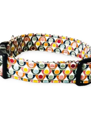 Collar Perro Nylon Click Gotas de Otoño