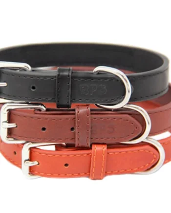 Collar Piel Ajustable Para Mascotas