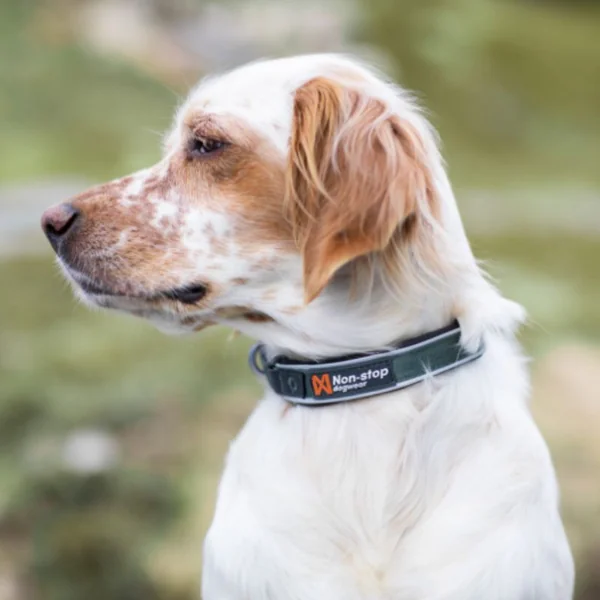 Collar Roam Negro NonStop Dog wear