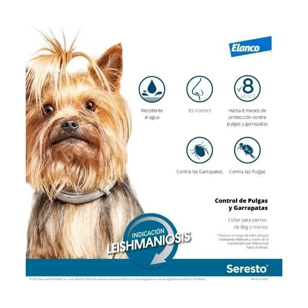 Collar Seresto perros