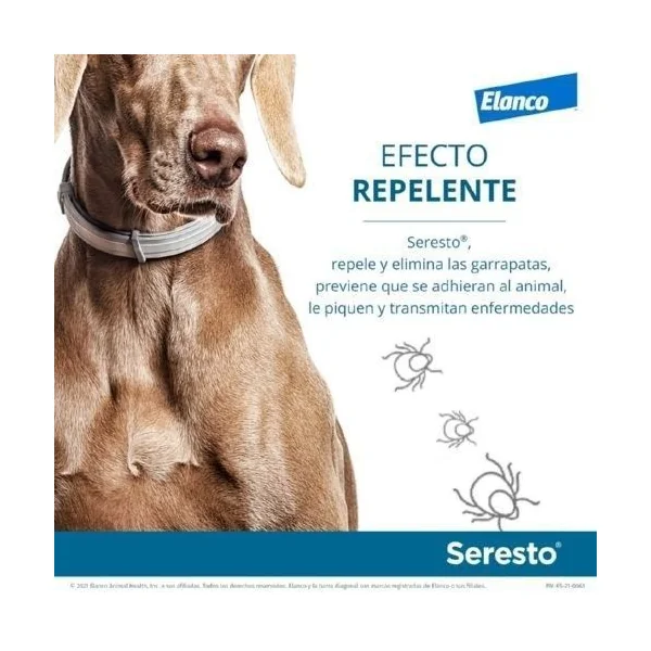 Collar Seresto perros