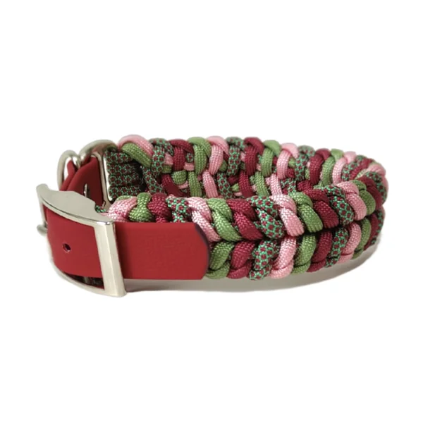 Collar Trenzado Ares Primavera para perros