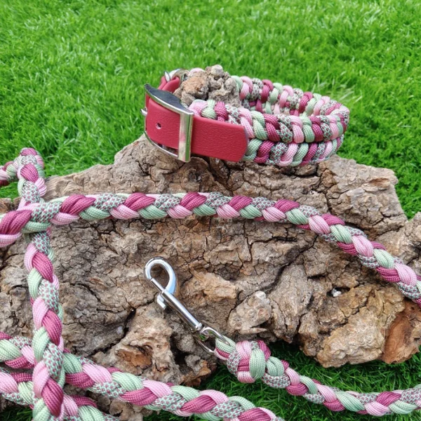 Collar Trenzado Ares Primavera para perros