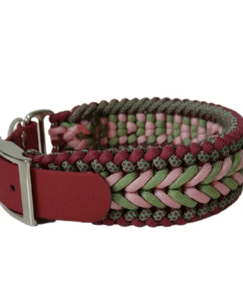 Collar Trenzado Zeus Primavera para perros