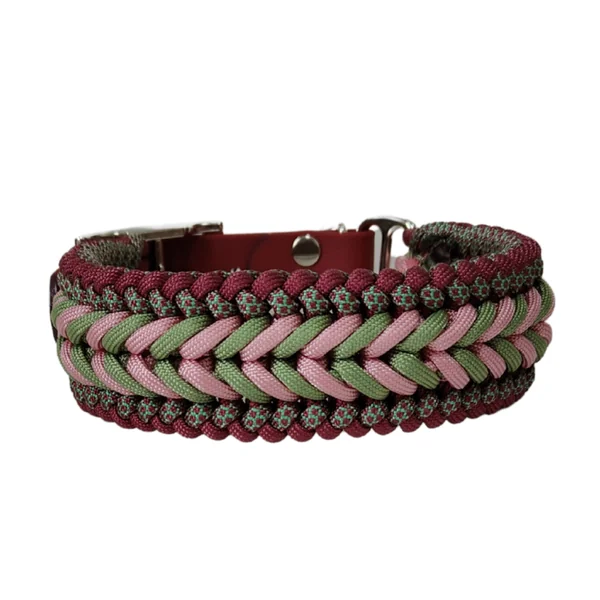 Collar Trenzado Zeus Primavera para perros