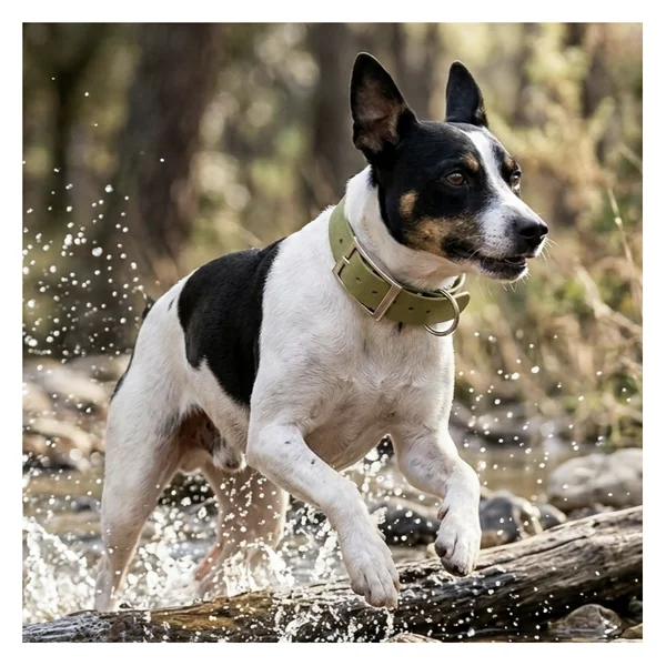 Collar Waterproof modelo Caqui para perros