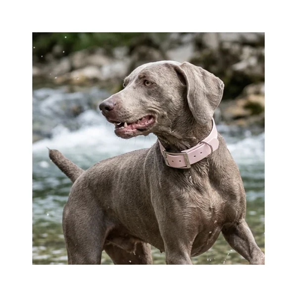 Collar Waterproof Rosa Pastel para perros