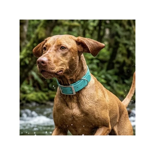 Collar Waterproof Verde Pastel para perros