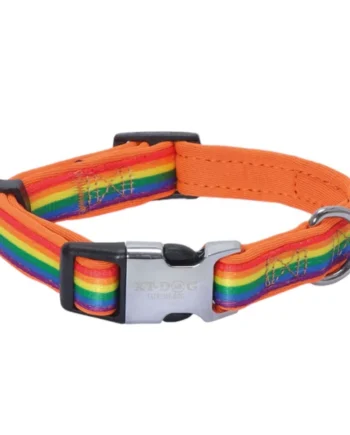 Collar XT-Dog Rainbow para Perros — Collar Colorido y Resistente