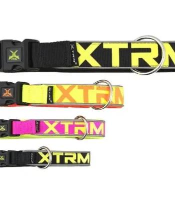 Collar X-Trm Neon Flash Azul 38Mm X 50-70 cm