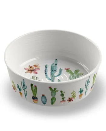 Comedero Cactus de Melamina para Perros y Gatos — Bowl Original
