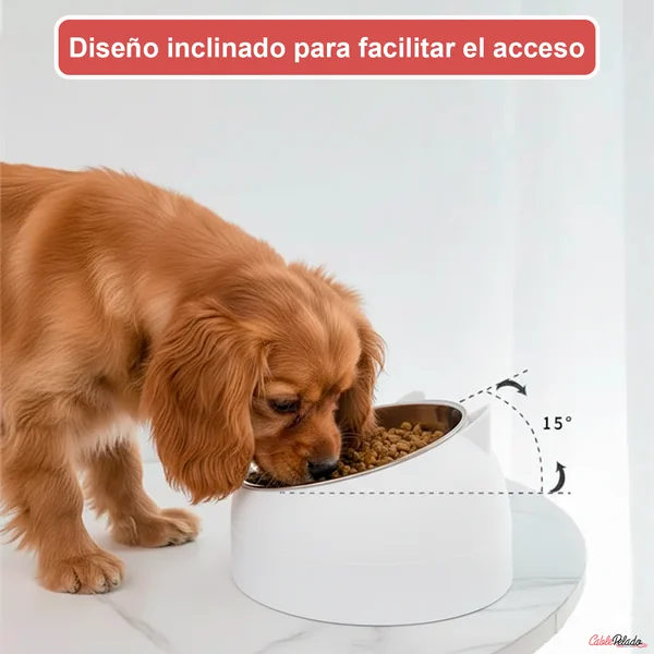 Comedero Inclinado Con Orejas Para Mascotas Blanco