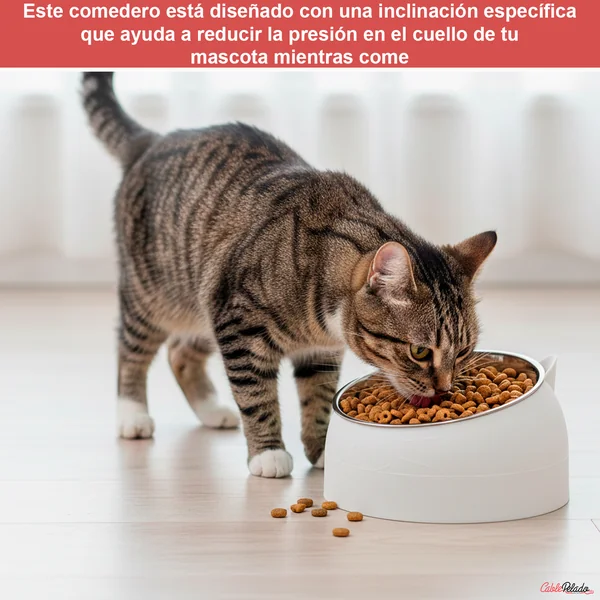 Comedero Inclinado Con Orejas Para Mascotas Blanco