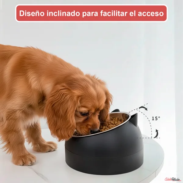 Comedero Inclinado Con Orejas Para Mascotas Negro