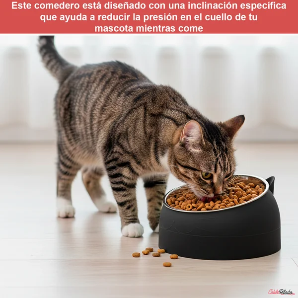 Comedero Inclinado Con Orejas Para Mascotas Negro