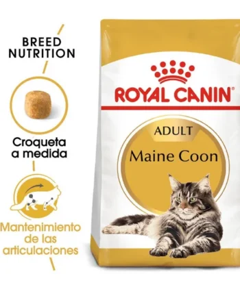 Compra Royal Canin Adult Maine Coon Pienso Para Gatos con entrega gratuita en línea a precios bajos en Gatospetshop.com.