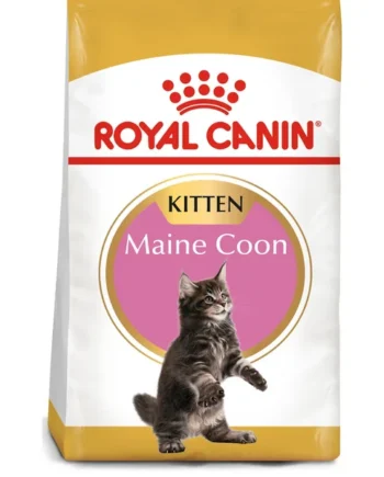 Compra ROYAL CANIN KittenMaine Coon Pienso Para Gatito De Raza con entrega gratuita en línea a precios bajos en Gatospetshop.com.