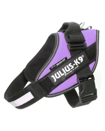 Comprar Arnés JULIUS-K9 IDC Morado Perro