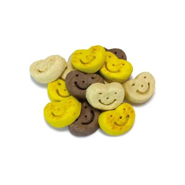 Comprar Arquivet Galletas Smiles Perros