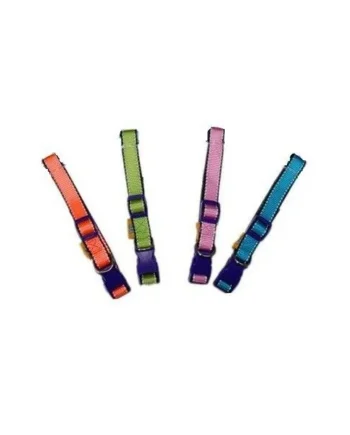 Comprar Collar Reflectante para Perros Night Edition