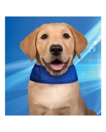 Comprar [Collar Refrigerante para Perros]