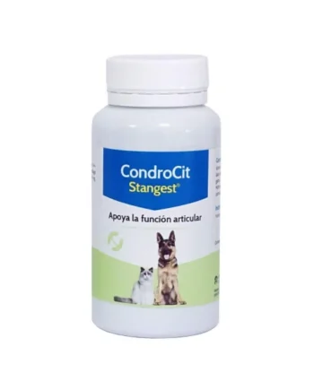 Comprar Condrocit para Perros y Gatos