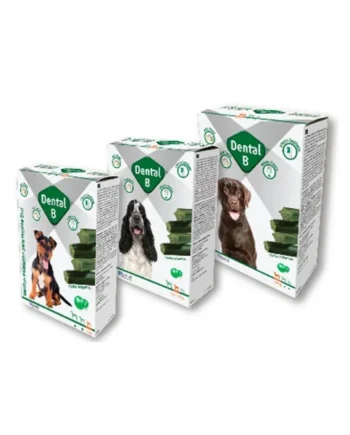 Comprar Dental-B Barritas Dentales