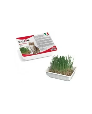 Comprar Hierba para Gato Camon