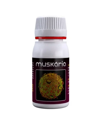 Comprar Muskaria de Agrobacterias