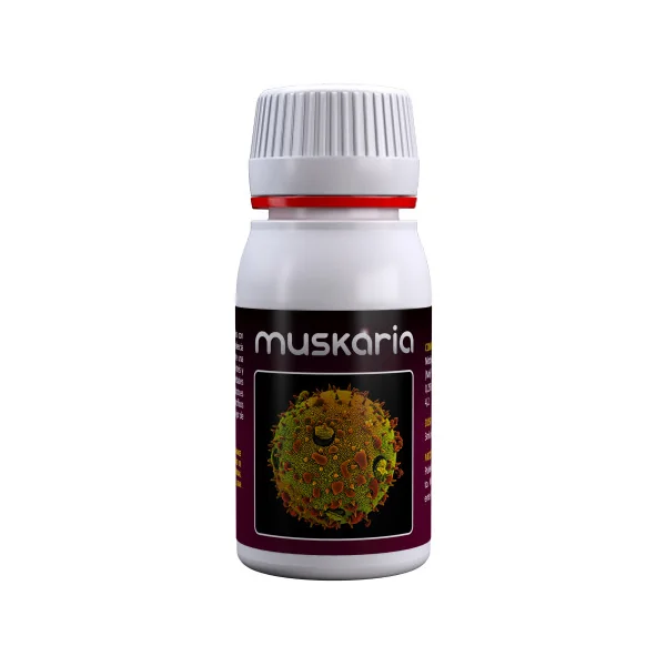 Comprar Muskaria de Agrobacterias