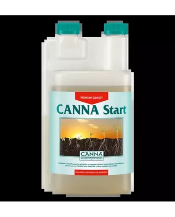 Comprar Start, Esquejes de Canna ☑️ ¡Al mejor Precio!