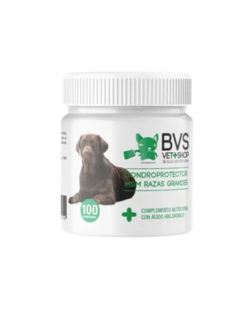 Condroprotector Razas Grandes MSM BVS Vet Shop