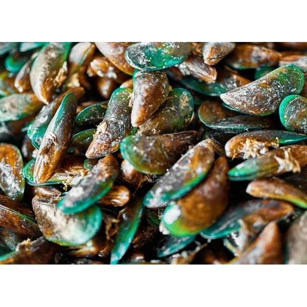 Cooka's Cookies - Green-Lipped Mussel 95gr