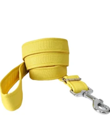 Correa modelo Amarillo para perros