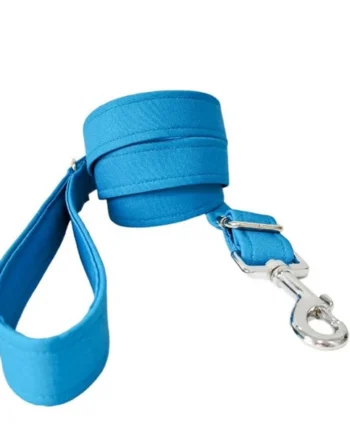 Correa modelo Azul para perros