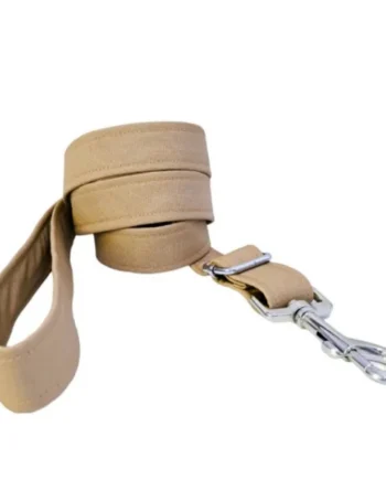 Correa modelo Beige para perros