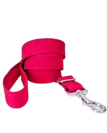 Correa modelo Fucsia para perros