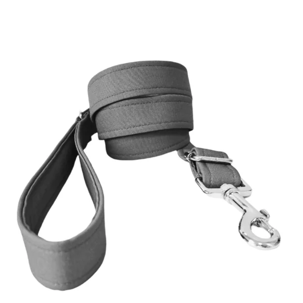 Correa modelo Gris para perros