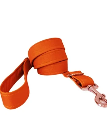 Correa modelo Naranja para perros
