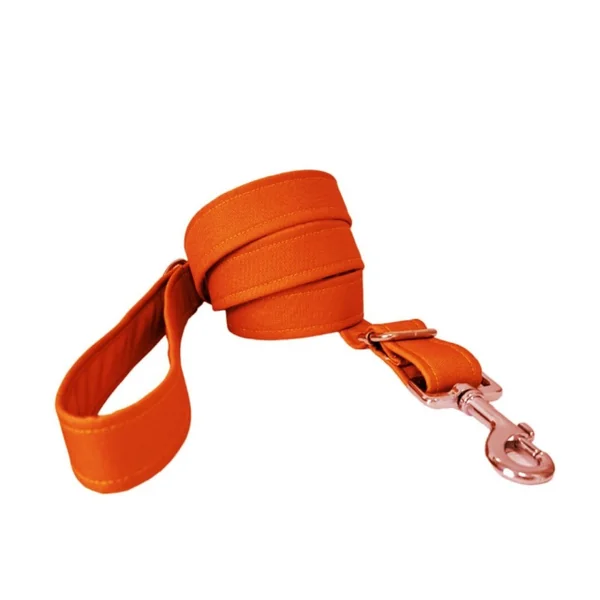 Correa modelo Naranja para perros